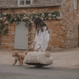 By Teddy Canvas Dog Car Seat – Hazelnut Stripe