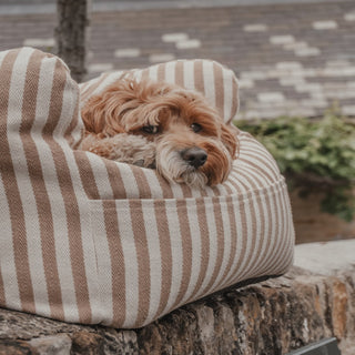 By Teddy Canvas Dog Car Seat – Hazelnut Stripe