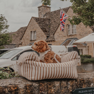 By Teddy Canvas Dog Car Seat – Hazelnut Stripe