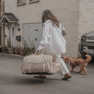 By Teddy Canvas Dog Car Seat – Hazelnut Stripe