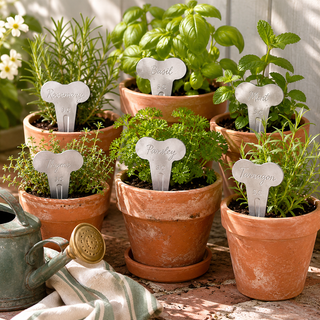 Burgon & Ball Sophie Conran Herb Plant Labels Set of 6