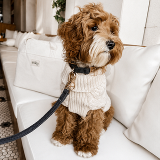 By Teddy Bouclé Dog Collar – Soft Luxury Boucle Pet Collar Midnight