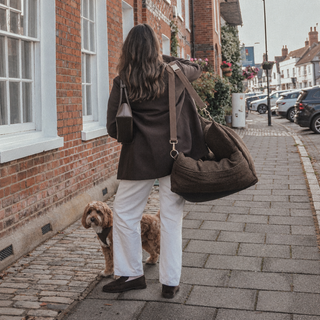 By Teddy Bouclé Dog Car Seat, Travel Bed & Carry Bag