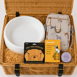 Luxury Dog Gift Hamper with Falcon Enamelware Bowl & Sophie Allport Bag