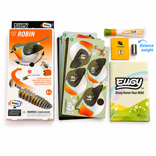 EUGY Robin 3D Craft Kit – Eco Kids Build Toy