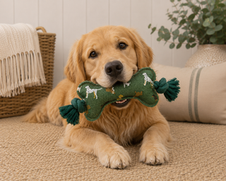 Sophie Allport Fetch Rope Dog Toy | Squeaky Tug Toy for Dogs