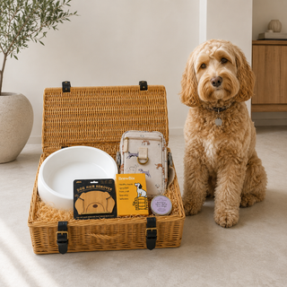 Luxury Dog Gift Hamper with Falcon Enamelware Bowl & Sophie Allport Bag