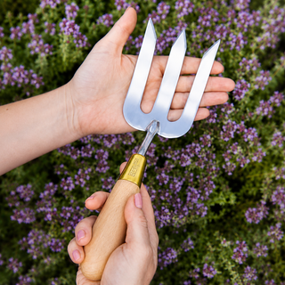 Burgon & Ball Sophie Conran Garden Hand Fork | Gift Boxed