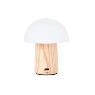 Alice Mushroom Lamp – Whimsical Super Mini LED Table Light by Gingko Design