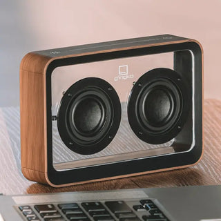 Mage See-Through Bluetooth Speaker – Walnut Luxury Design Speaker