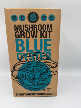 Oyster Mushroom Grow Kits