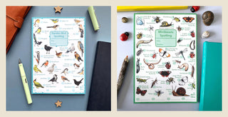 Nature Explorer Bundle – Bird & Bug Spotting