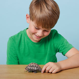 EUGY Pangolin 3D Craft Kit – Eco Kids Build Toy