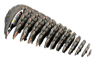 EUGY Pangolin 3D Craft Kit – Eco Kids Build Toy