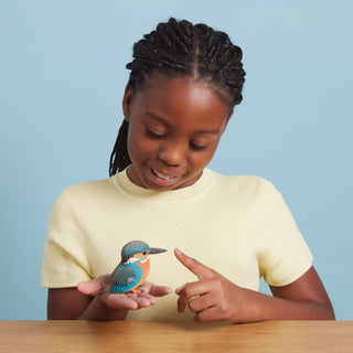 EUGY Kingfisher 3D Craft Kit – Eco Kids Build Toy