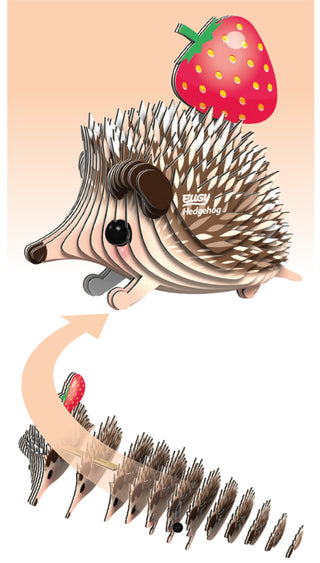EUGY Hedgehog 3D Craft Kit – Eco Kids Build Toy