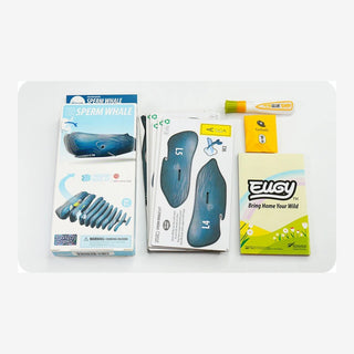 EUGY Sperm Whale 3D Craft Kit – Eco Kids Build Toy