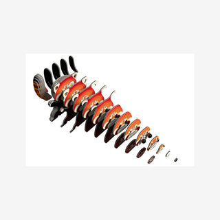 EUGY Red Panda 3D Craft Kit – Eco Kids Build Toy