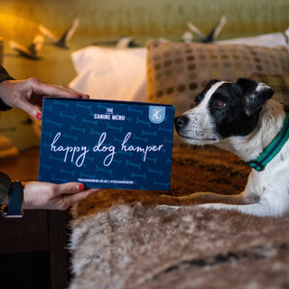 Dog Lover’s Gift Hamper