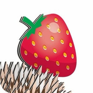 EUGY Hedgehog 3D Craft Kit – Eco Kids Build Toy