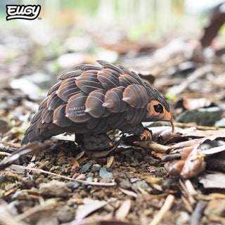 EUGY Pangolin 3D Craft Kit – Eco Kids Build Toy