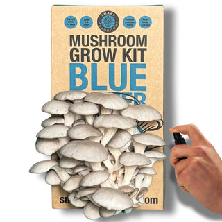 Oyster Mushroom Grow Kits