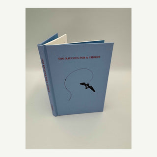 Too Raucous for a Chorus | Whimsical Poetry & Stories Book