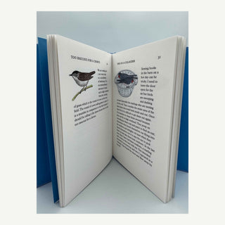 Too Raucous for a Chorus | Whimsical Poetry & Stories Book