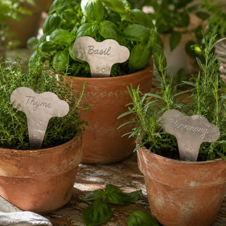 Burgon & Ball Sophie Conran Herb Plant Labels Set of 6