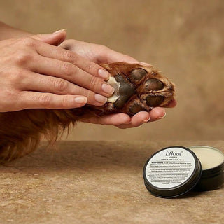 L’floof Luxury Dog Grooming Gift Set for Dogs