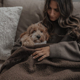 By Teddy Bouclé Dog Blanket – Luxury Soft Pet Blanket