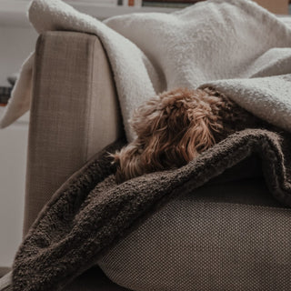 By Teddy Bouclé Dog Blanket – Luxury Soft Pet Blanket
