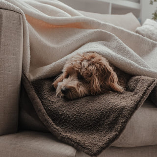 By Teddy Bouclé Dog Blanket – Luxury Soft Pet Blanket