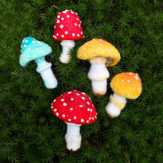Bergin & Bath Toadstool Needle Felting Kit for Adults – Beginners’ Mushroom Craft Kit