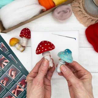 Bergin & Bath Toadstool Needle Felting Kit for Adults – Beginners’ Mushroom Craft Kit