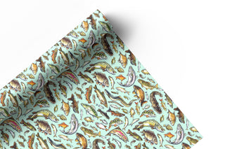 Freshwater Fish of Britain wrapping paper Sheets