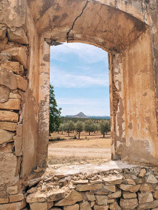 Citizens of Soil – Organic Extra Virgin Olive Oil (500ml)