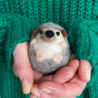 Bergin & Bath Hedgehog Needle Felting Kit for Beginners – Adult & Teen Craft Kit