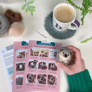 Bergin & Bath Hedgehog Needle Felting Kit for Beginners – Adult & Teen Craft Kit
