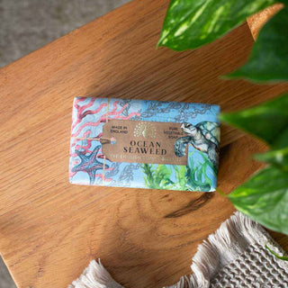 Anniversary Ocean Seaweed Soap - Pangolins