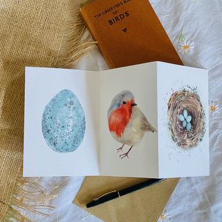 Robin Concertina Card