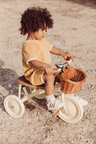 Banwood Trike – A Timeless, Scandinavian - Inspired Children’s Tricycle - Pangolins