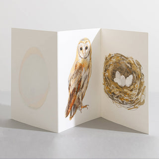 Barn Owl, Bird Nature Lover Concertina Card - Pangolins