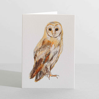 Barn Owl, Bird Nature Lover Concertina Card - Pangolins