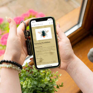 Bee Revival Kit - Bamboo Edition - Pangolins