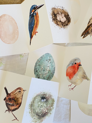 Robin Concertina Card