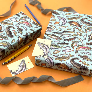 Freshwater Fish of Britain wrapping paper Sheets