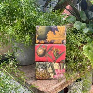 Kew Gardens Bergamot and Ginger Soap
