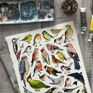 Garden Birds of Britain wrapping paper Sheets