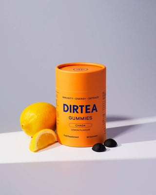 Chaga - Energy Mushroom Gummies - Pangolins